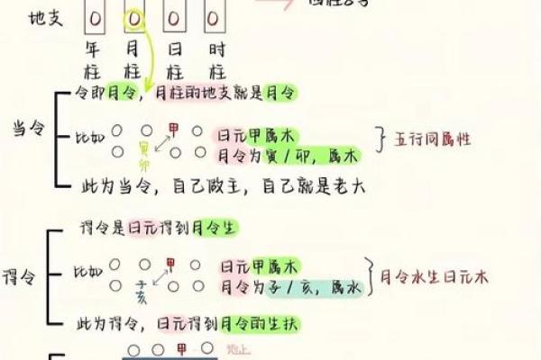 教你看八字 八字教学教程（四）