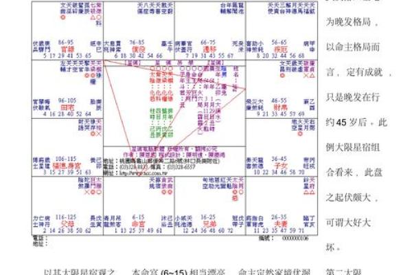 紫薇斗数书入门