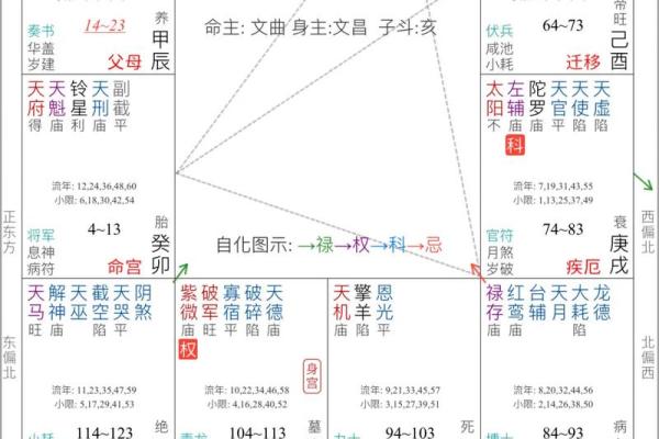 紫薇斗数大限武曲
