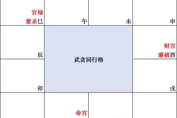 紫薇斗数大限武曲