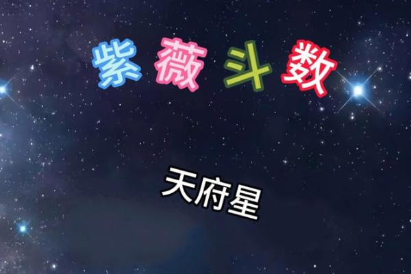观星阁紫薇斗数