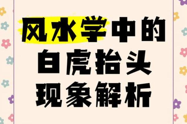 详解什么是风水学术中的白虎煞