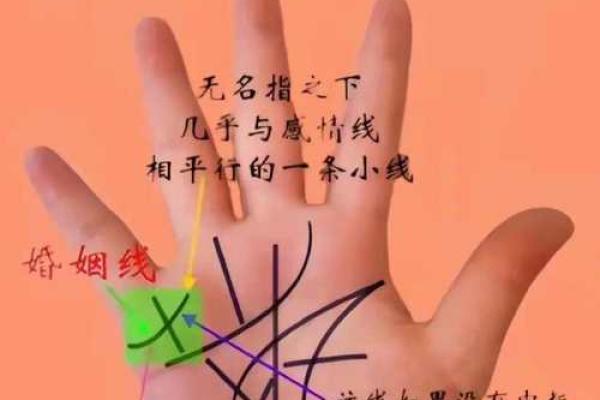 手相算命婚姻线详解