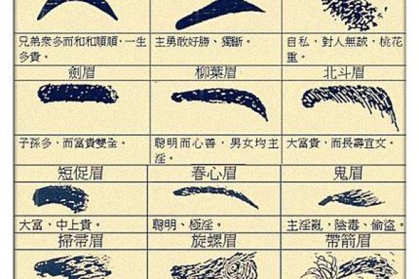 牙齿数量算命，牙齿算命图解