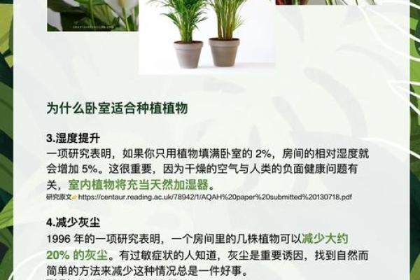 儿童卧室摆放植物风水宜忌