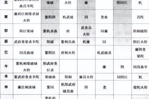 毛紫薇斗数