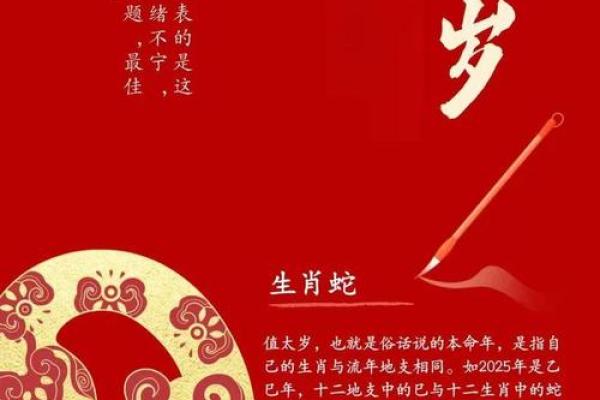 算命蛇猪