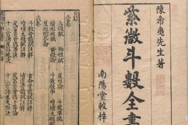 紫薇斗数分析推演概论 紫薇斗数分析推演概论