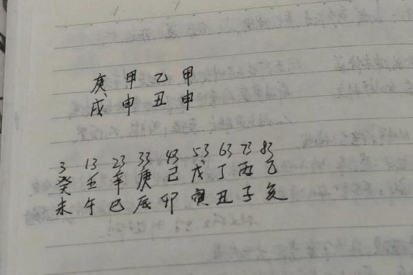 八字基础教学