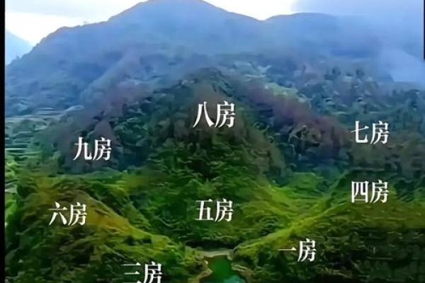 选择墓地风水的原则是什么