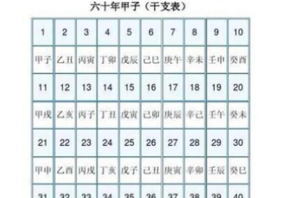 八字寅数字是几