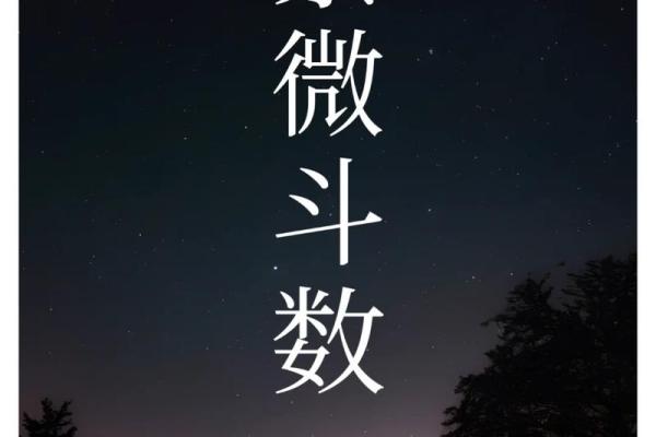紫薇你斗数吧