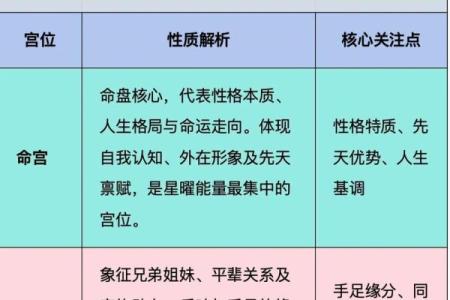紫薇斗数视频