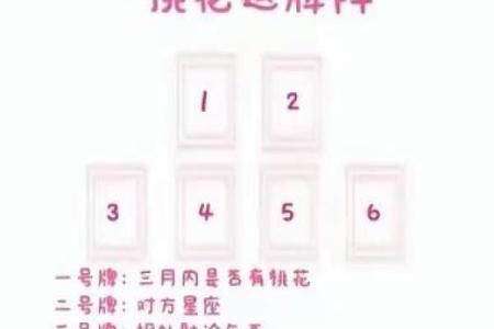 塔罗测试春节期间你的桃花运？