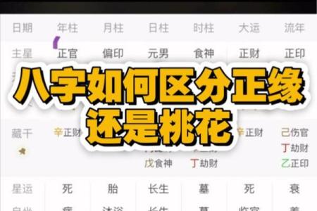 怎样从八字看正缘