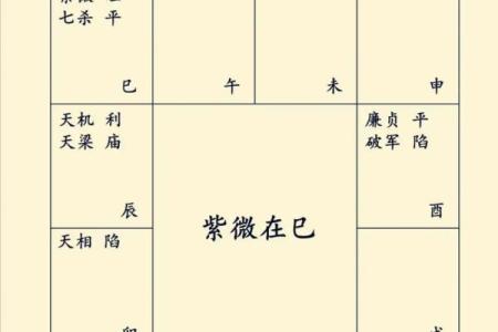 紫微斗数之基本术语