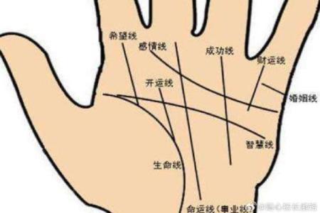手相算命婚姻线详解