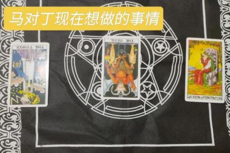 塔罗测试：该不该和相亲对象结婚