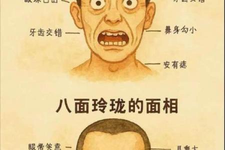 牙齿数量算命，牙齿算命图解