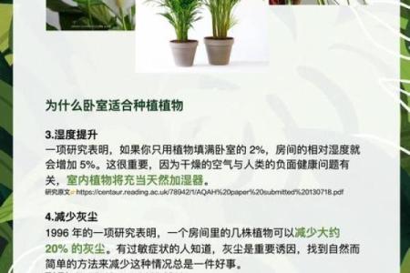 儿童卧室摆放植物风水宜忌