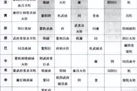 毛紫薇斗数