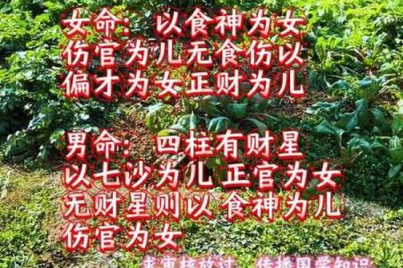 八字全阴女