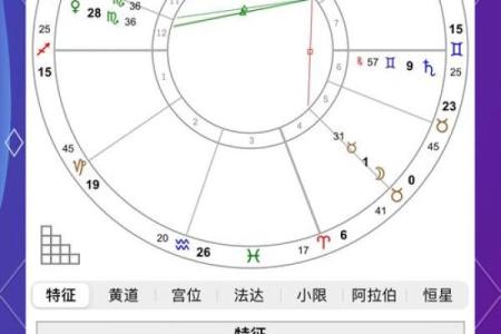 紫薇星盘命主破军