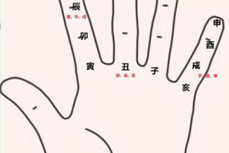 紫薇斗数大限大子女