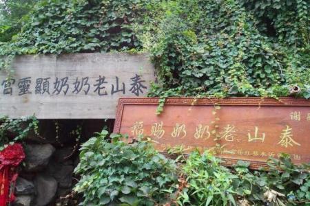 济南算命泰山奶奶