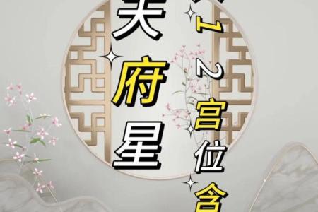 紫微斗数之子女宫与诸星，天府星在子女宫是什么意思？
