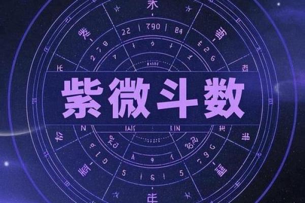 紫薇星是什么时辰