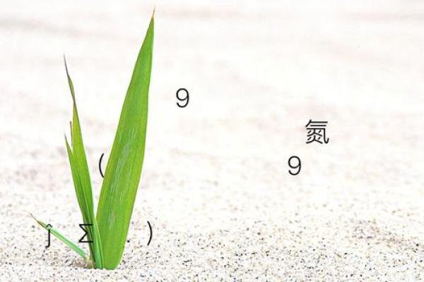 观音灵签51爱情复合