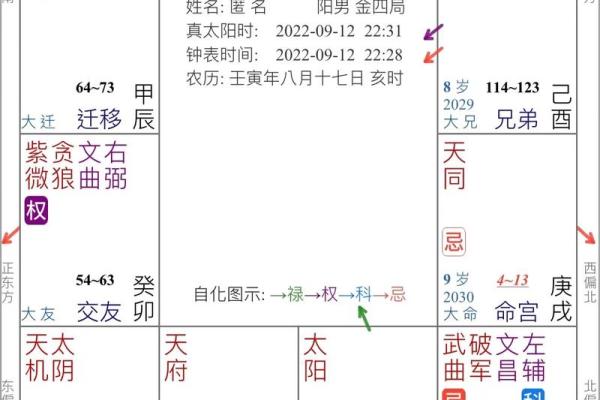 紫薇斗数第三者