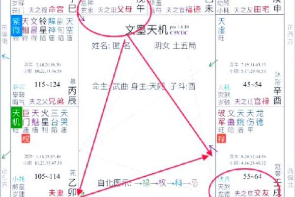 紫薇斗数星盘分析
