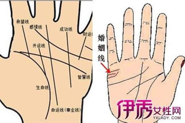 如何增强婚姻和情感的风水技巧
