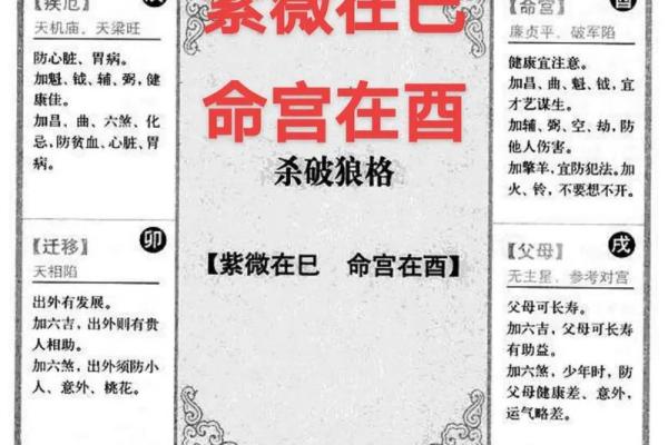 紫薇斗数文曲在申