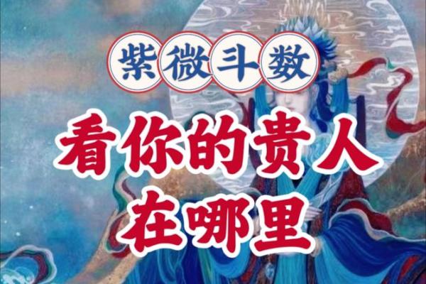 紫微斗数看财力靠自己还是靠别人技法#财富