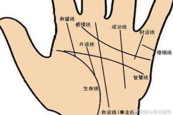 手相算命，对着内容看你的手相