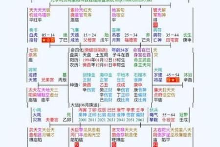 什么紫薇斗数的人适合去大城市发展