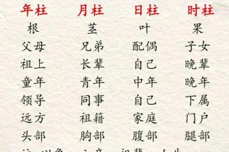 辰时八字
