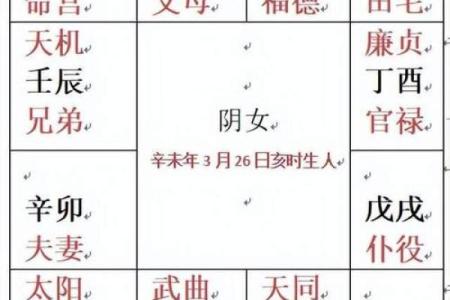 崇祯紫薇斗数