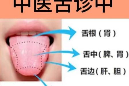 算命要防口舌是什么意思