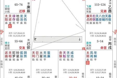 紫薇斗数看父母感情