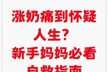 八字奶是什么意思