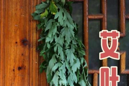 风水解答为什么不应该将艾草作为礼物送给别人