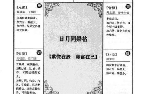 紫薇星入命宫，唐艺尹老师独家分析