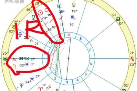 星盘富贵格局,什么样的星盘是富豪命