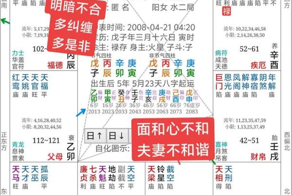 倪师设计紫薇斗数