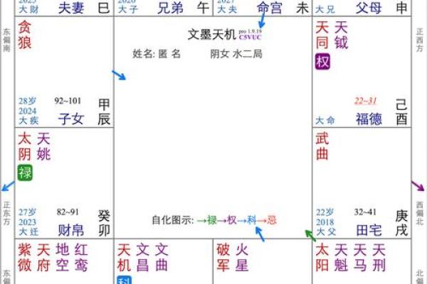 紫薇斗数专业名词