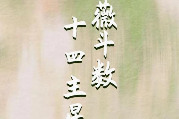 紫薇斗数看网红粉丝